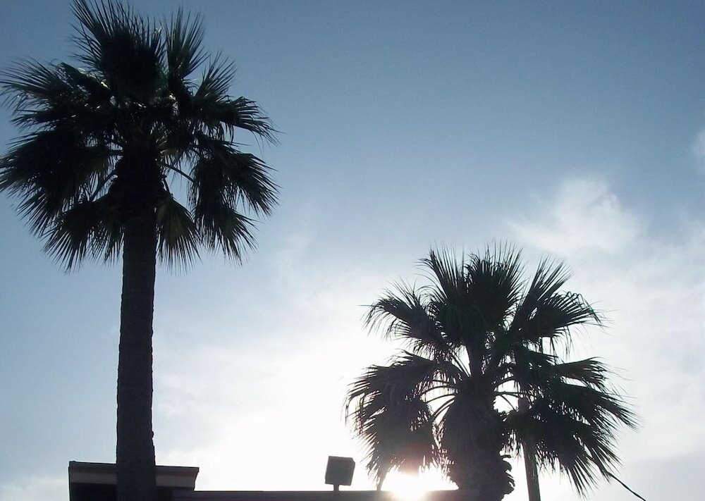 Фото Whispering Palms Inn