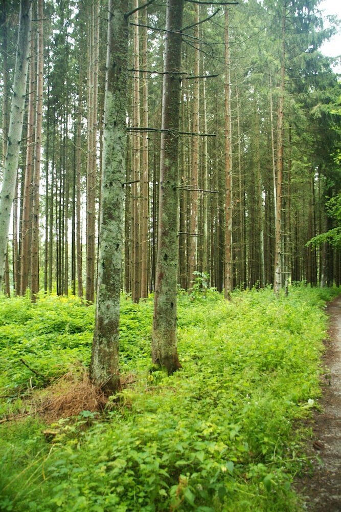 Фото Dekra Congresshotel Wart