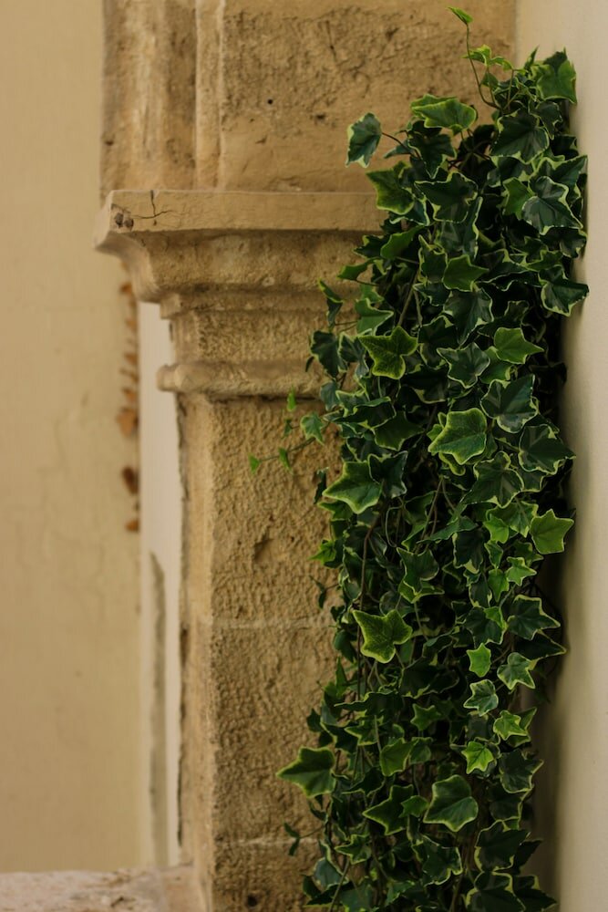 Фото Hotel San Nicola