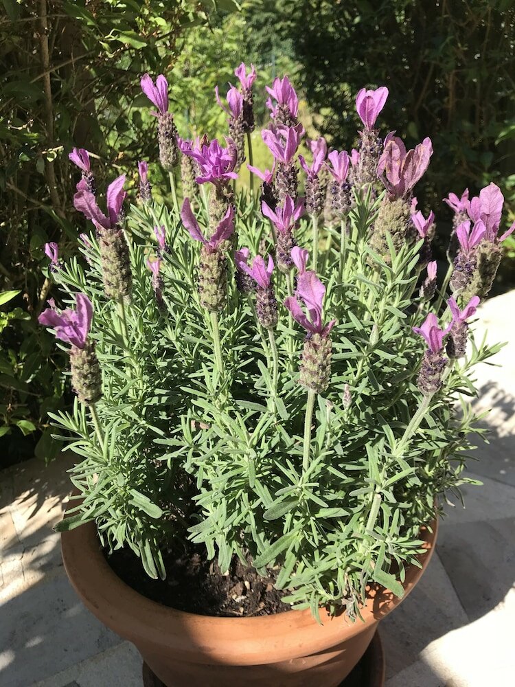 Фото Le numero 100