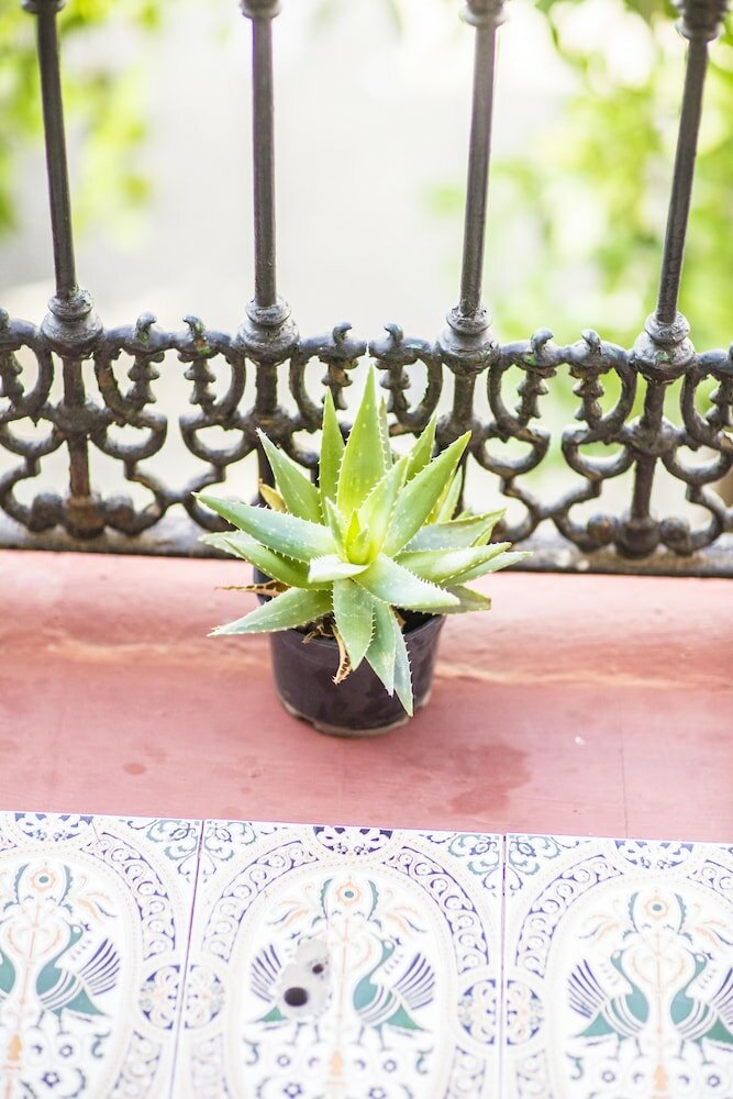 Фото Pensión dulces sueños