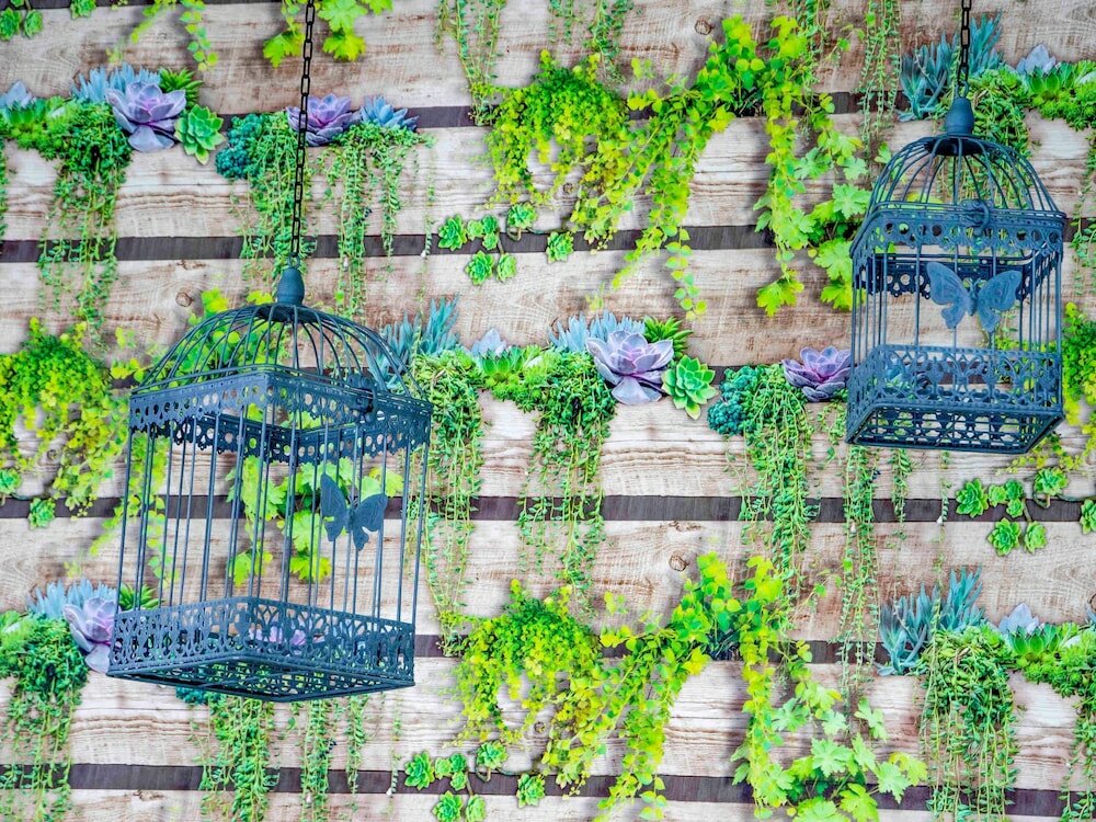 Фото Ibis budget Paris Porte de Vanves