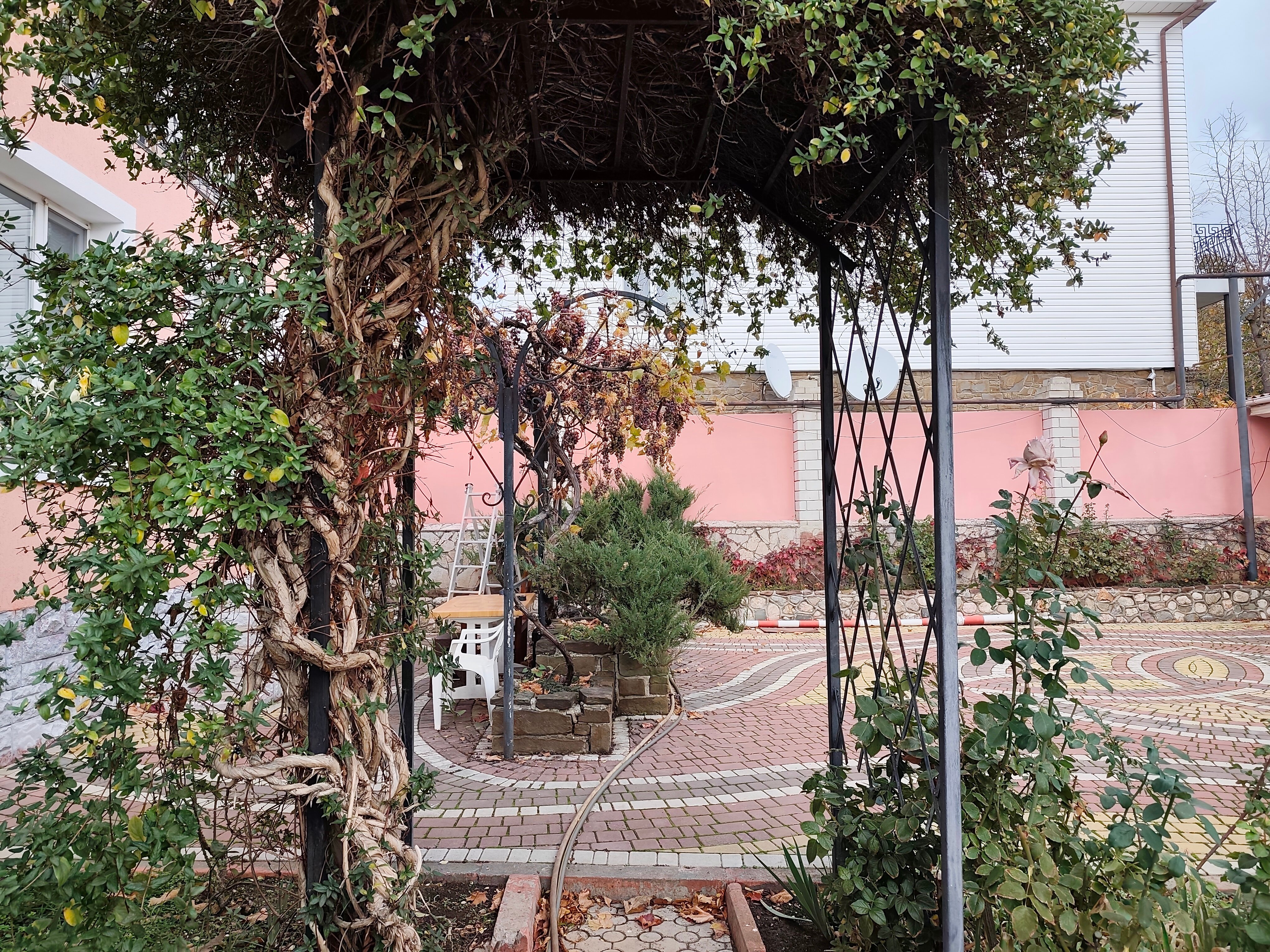 Фото Mango Hotel