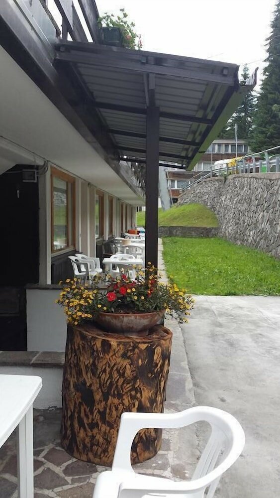 Фото 109171942154