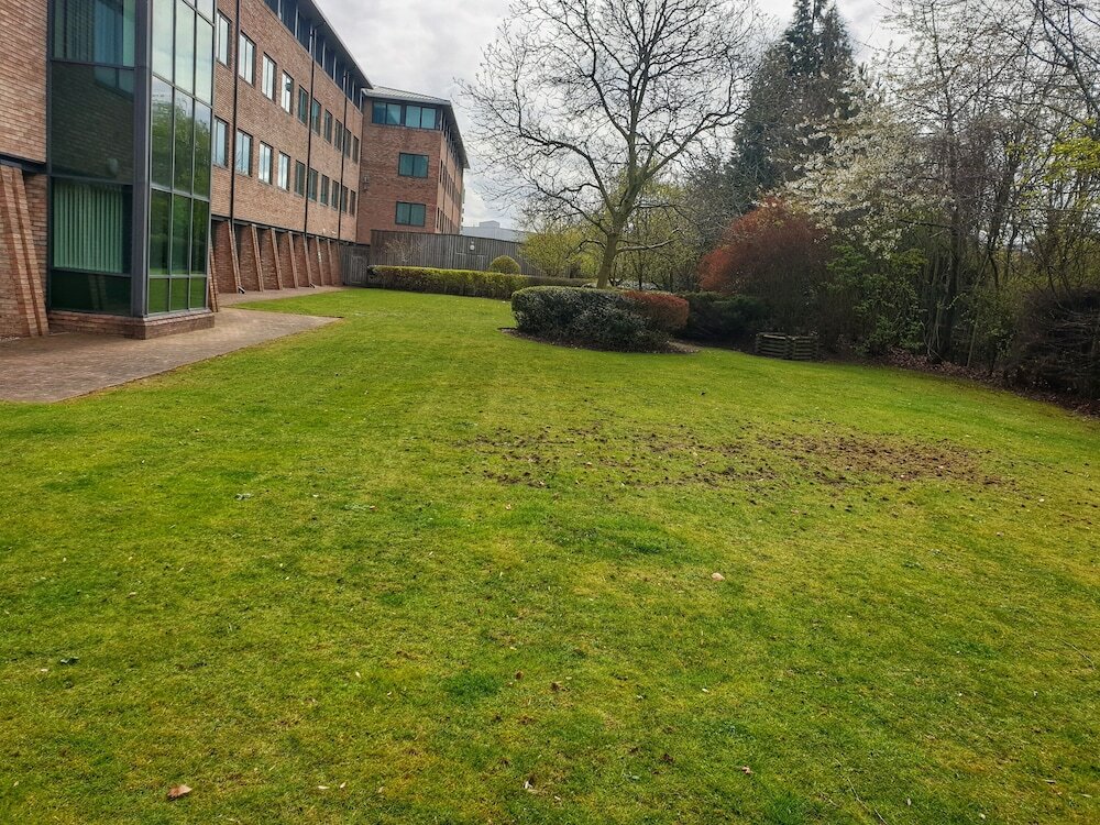 Фото Ibis Styles Birmingham Nec and Airport