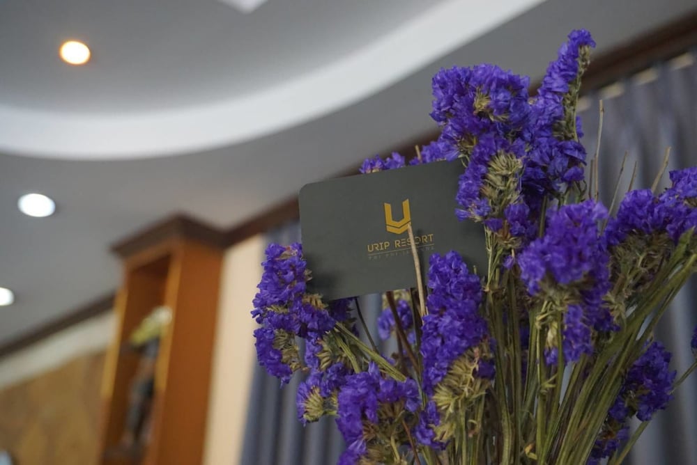 Фото U Rip Resort