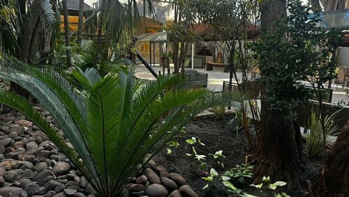 Внешний вид отеля Ritter Hotéis в Порту-Алегри, фото 5