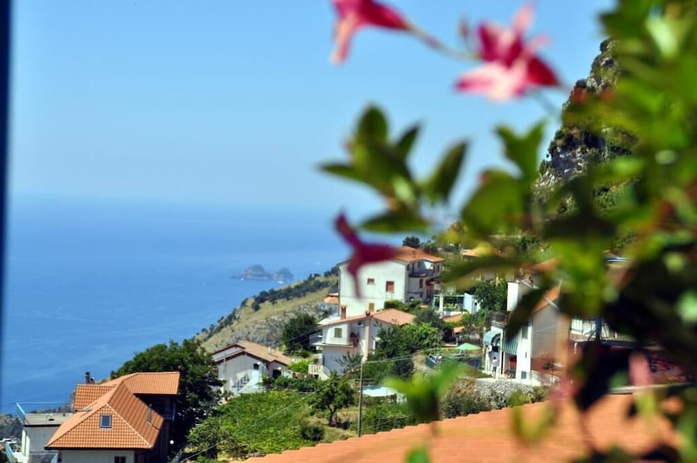 Фото B&b Il Canto delle Sirene