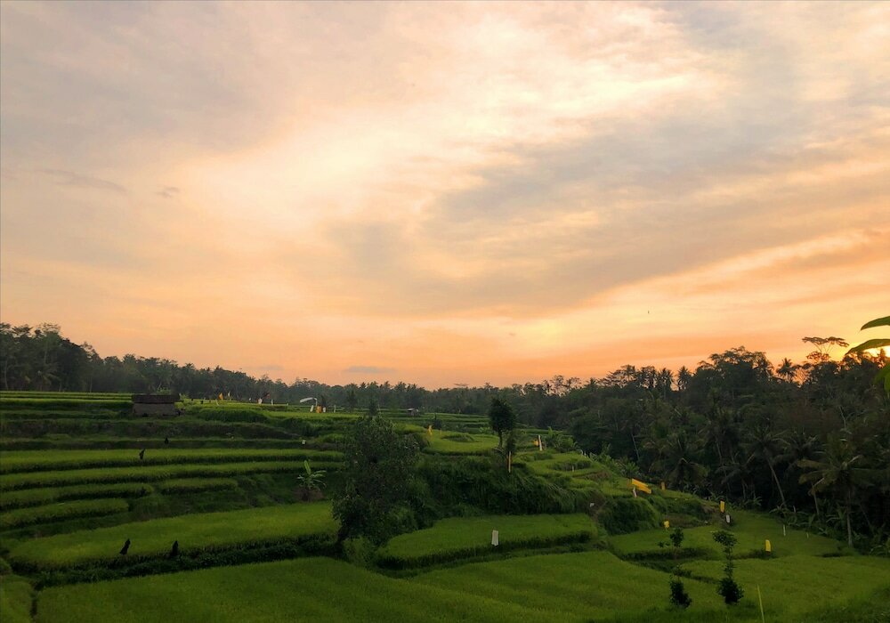 Фото Villa Semana Resort & SPA