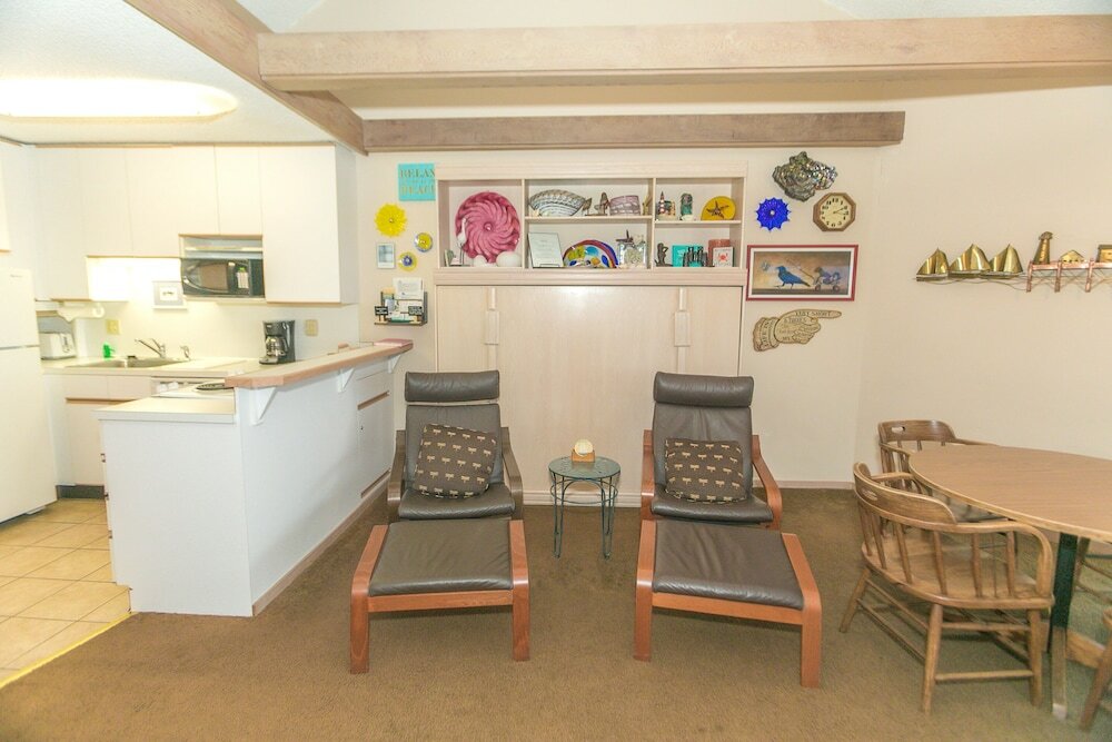 Фото The Grey Gull