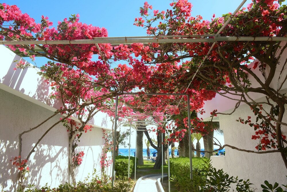 Фото Blue Horizon Hotel