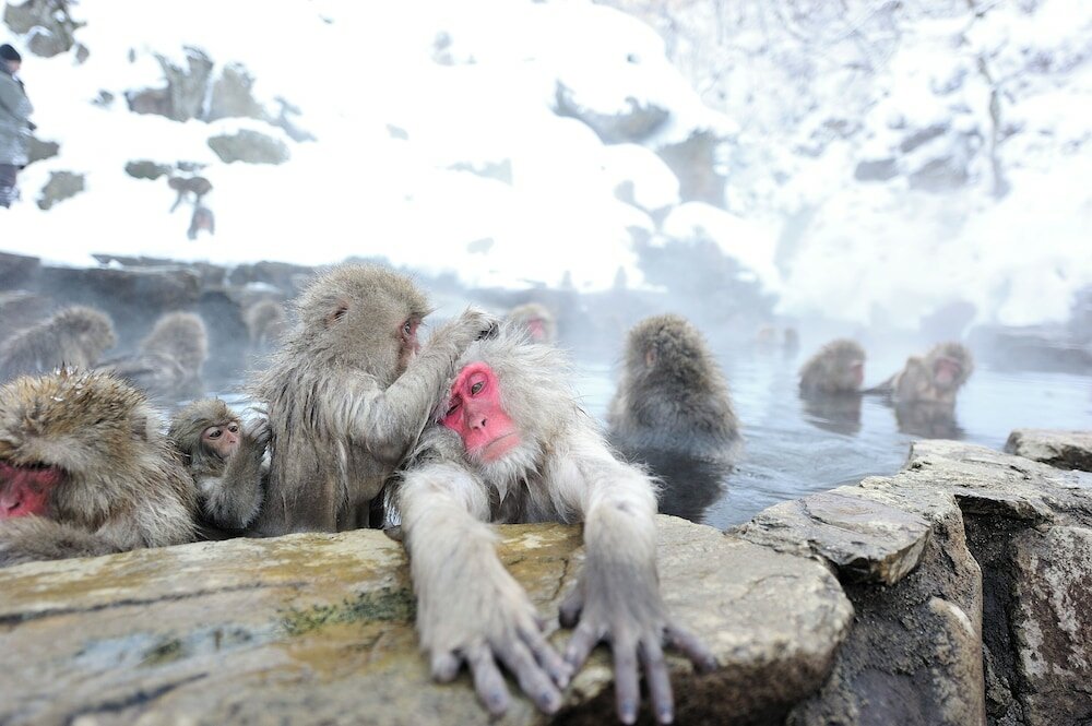Фото Koishiya Ryokan