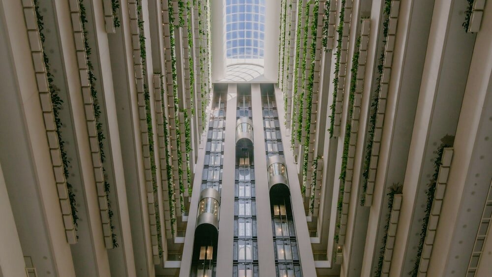 Фото InterContinental Brisbane by IHG