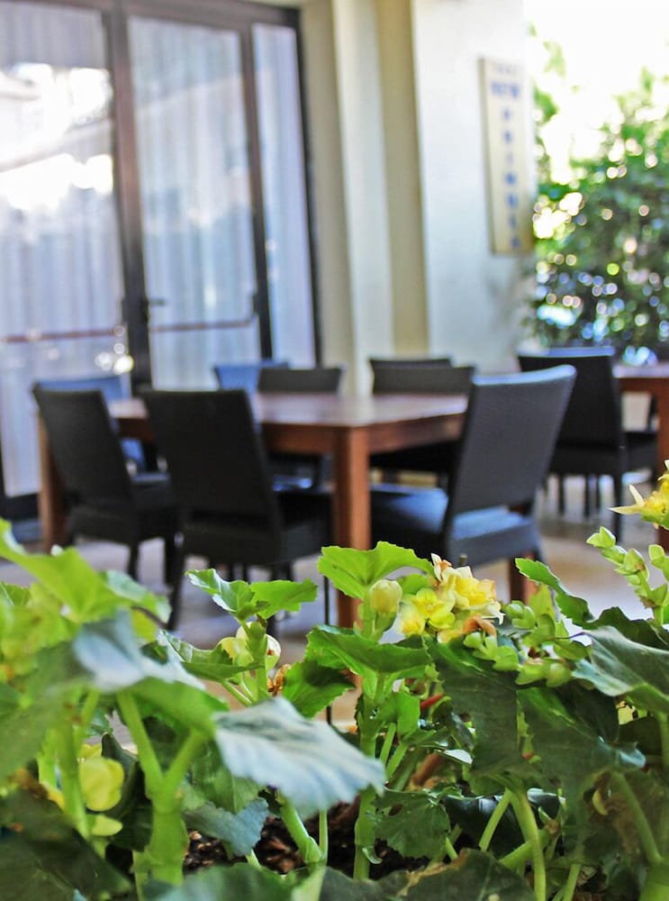 Фото Hotel New Primula