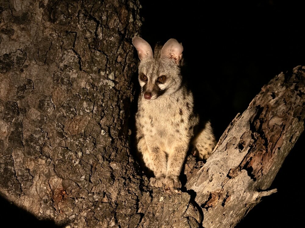 Фото 158997887249