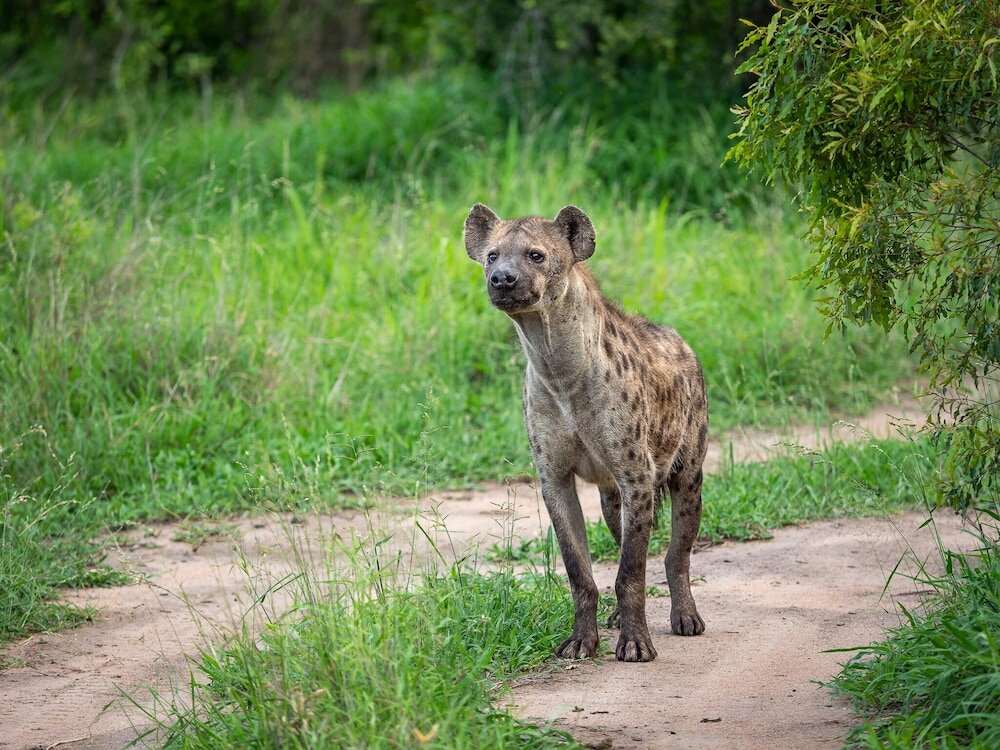 Фото 158997887249