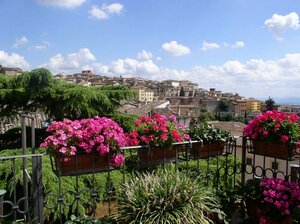 Гостиница Primavera Mini Hotel