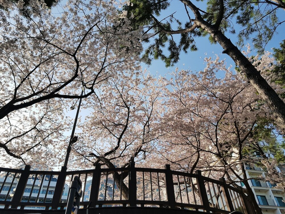 Фото Suntree Hotel