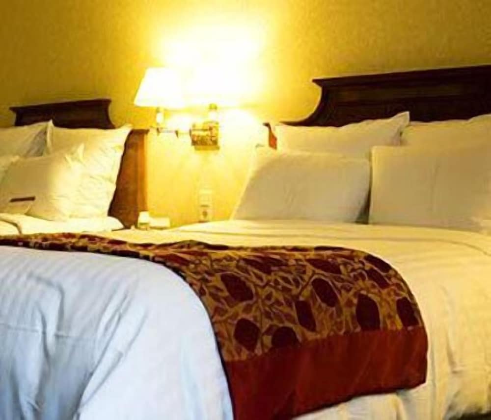 Фото Hotel Stella d'Italia