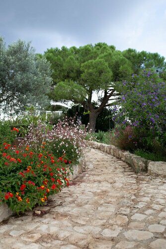 Внешний вид отеля Artemisia Resort в Рагузе, фото 3