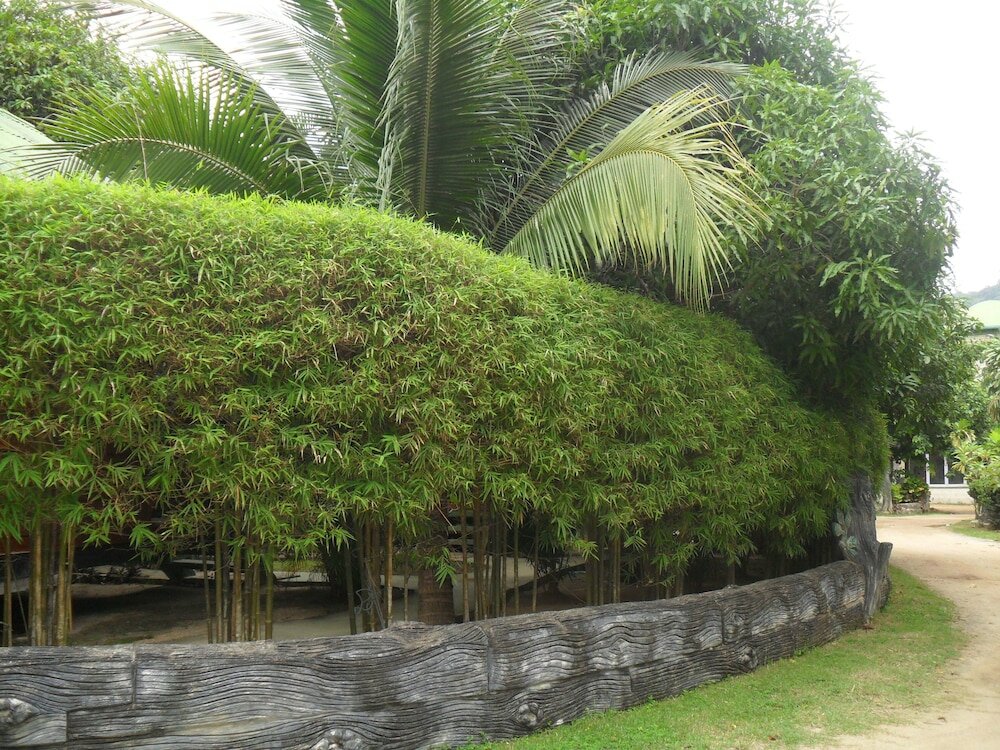 Фото Dreamland Resort