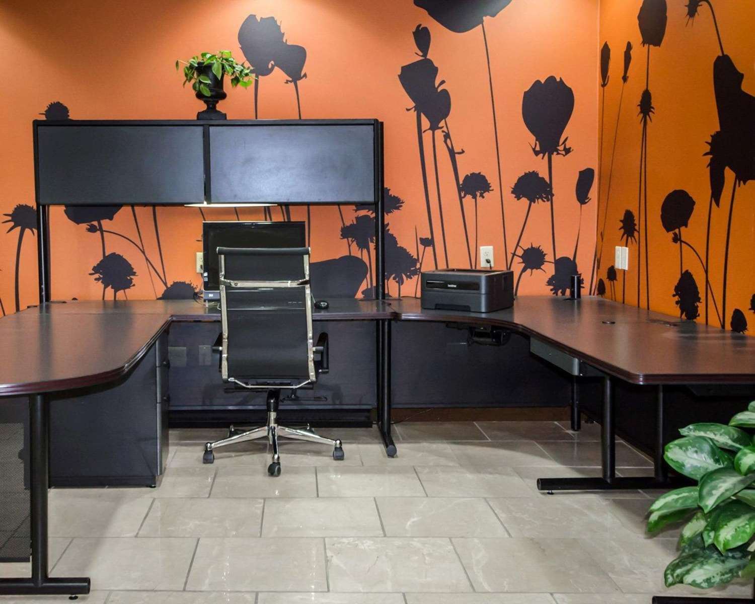 Фото Sleep Inn & Suites and Conference Center Downtown