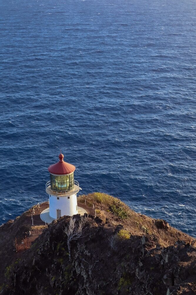 Фото Ohia Waikiki Studio Suites