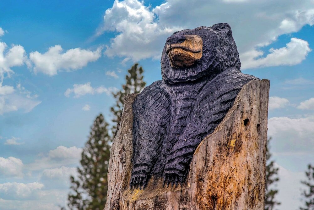 Фото Comfort Inn Mount Shasta Area