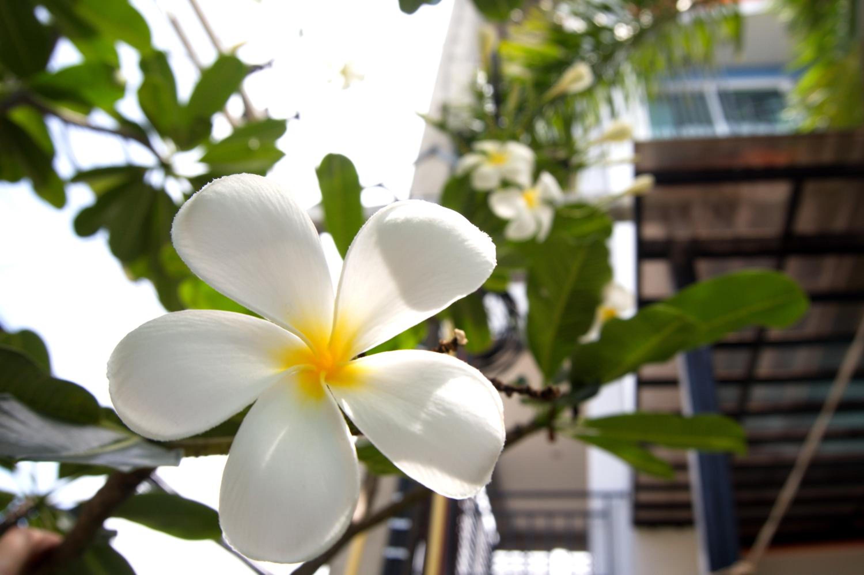 Фото Evergreen Cha-am