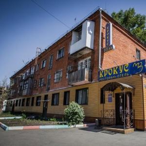 Фото Крокус