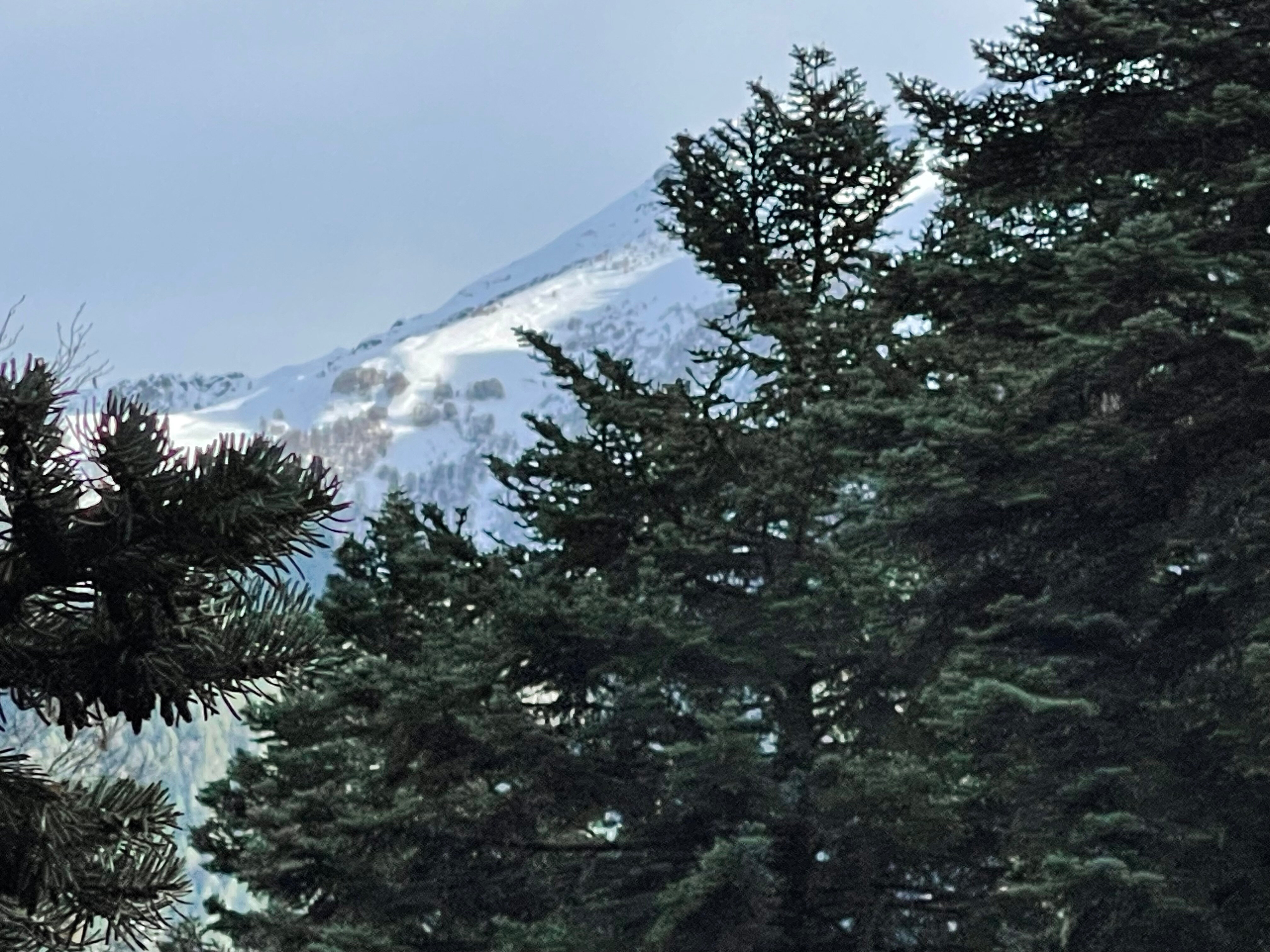 Фото Chalet Monte