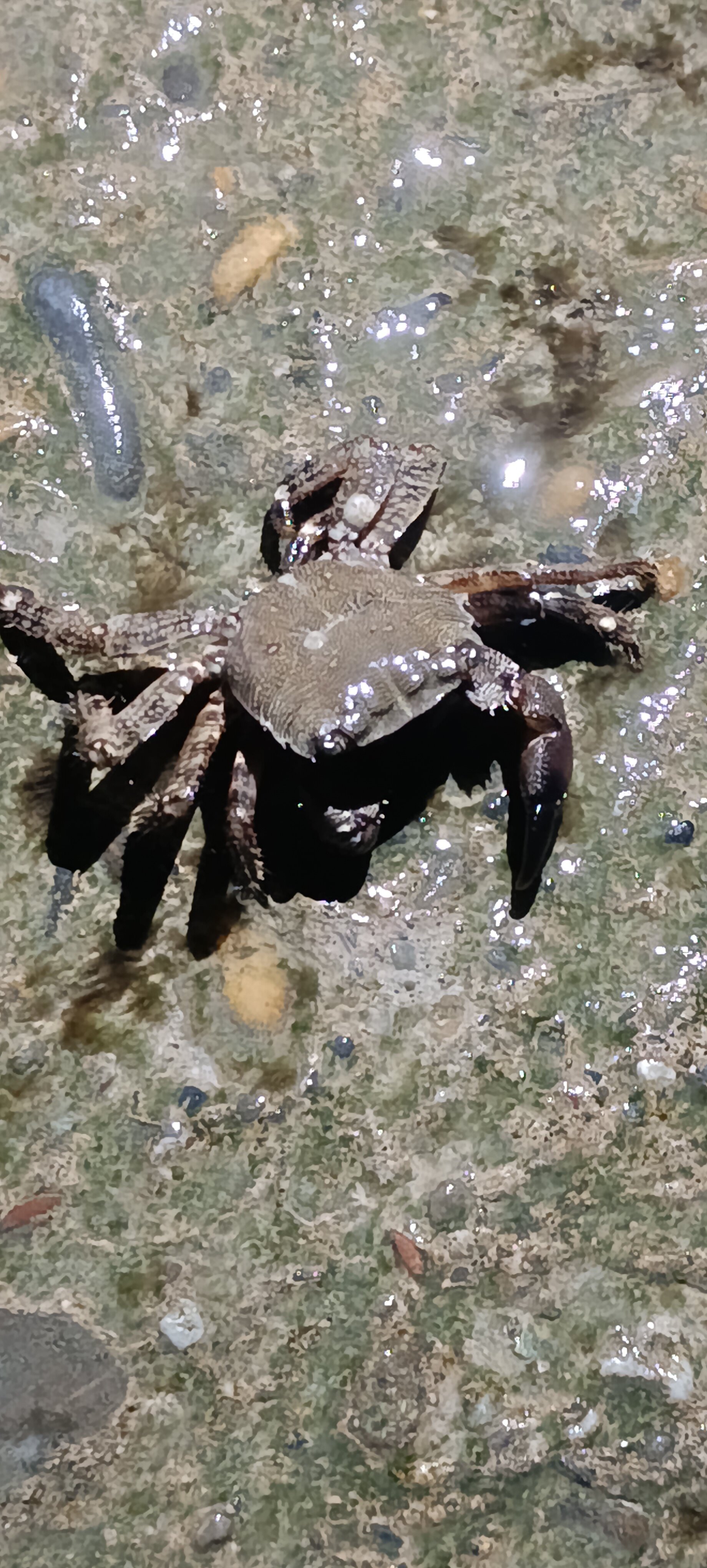 Фото Чародейка