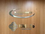 Kazakhmys (Auezov Street, 163А), insurance company