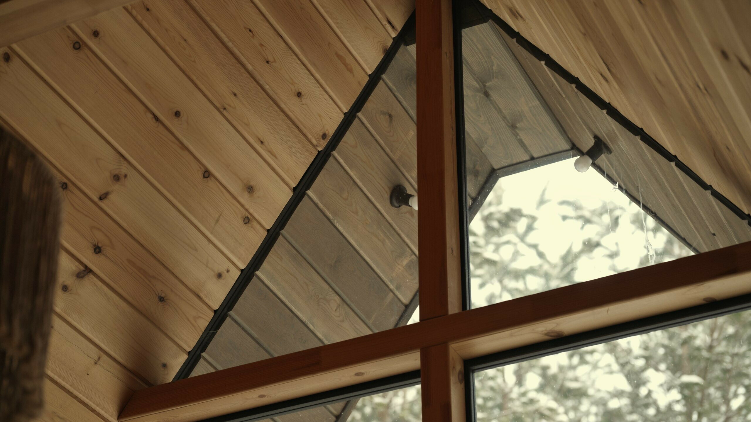 Фото Место под соснами