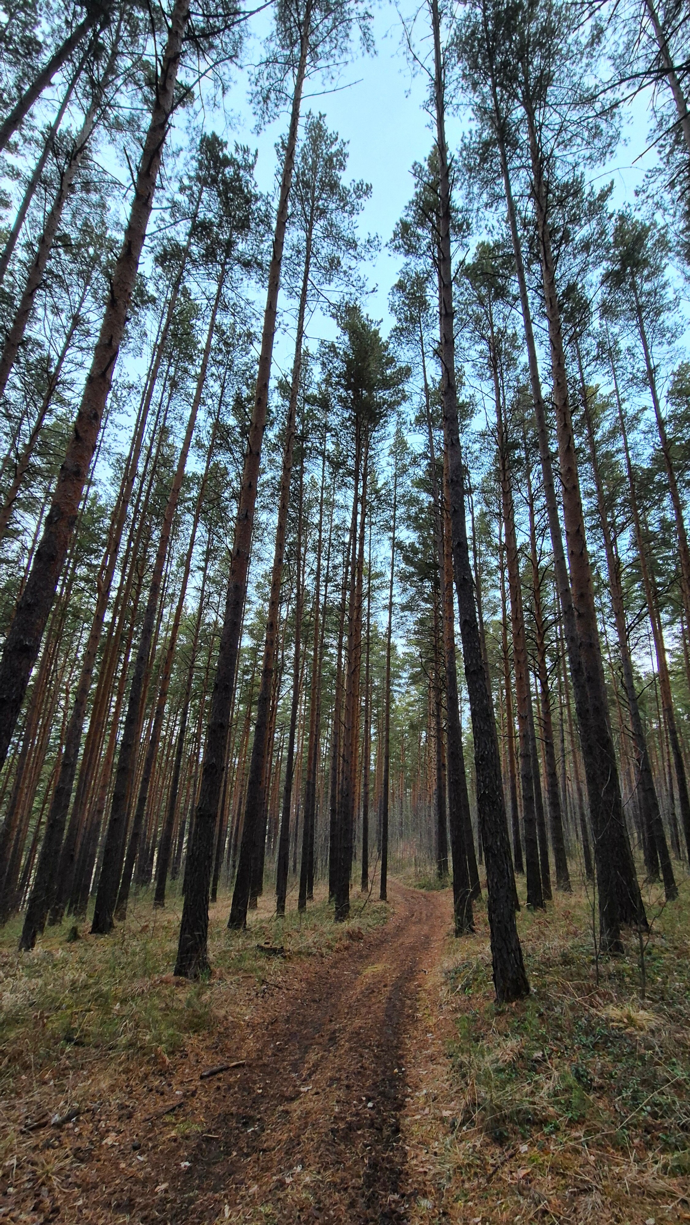 Фото Scandi Village