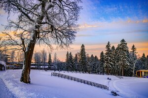 Русские Сезоны Апарт Отель Пересвет