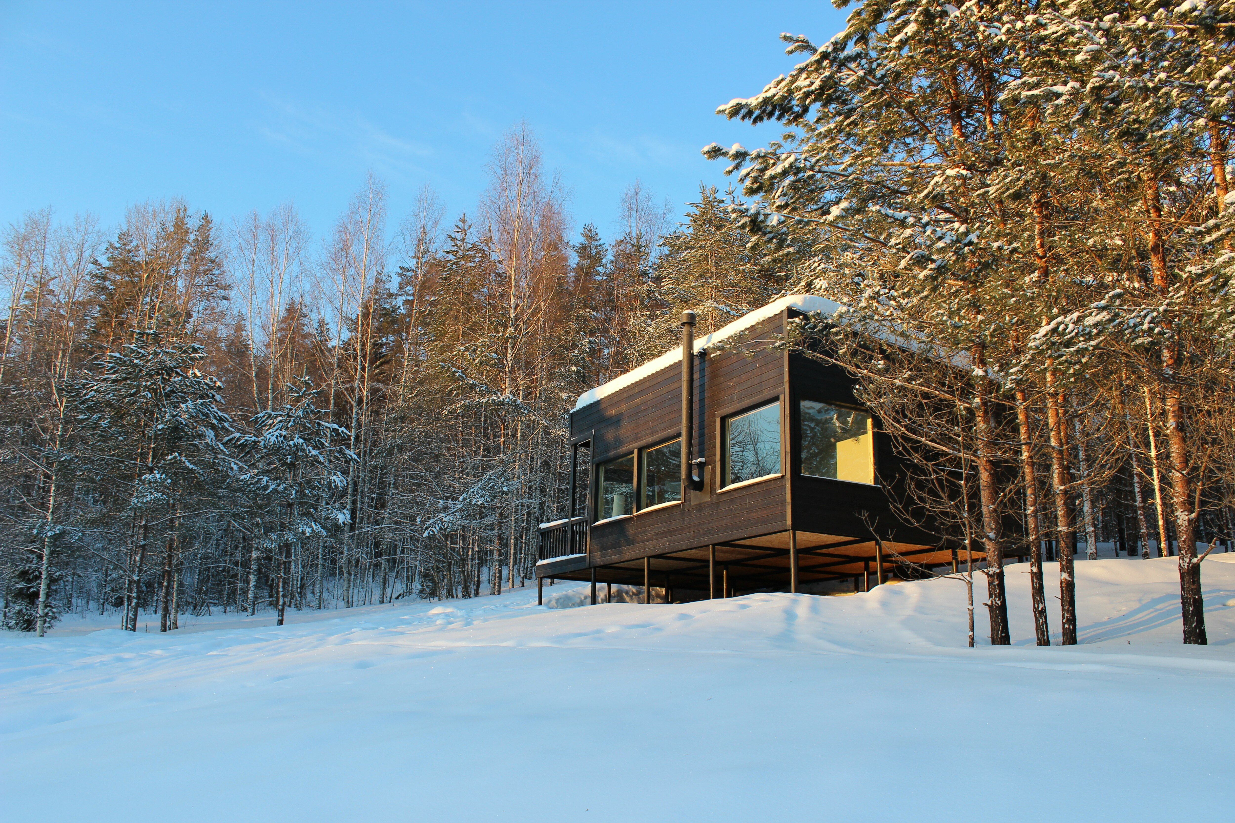 Фото Дом в лесу Холмово