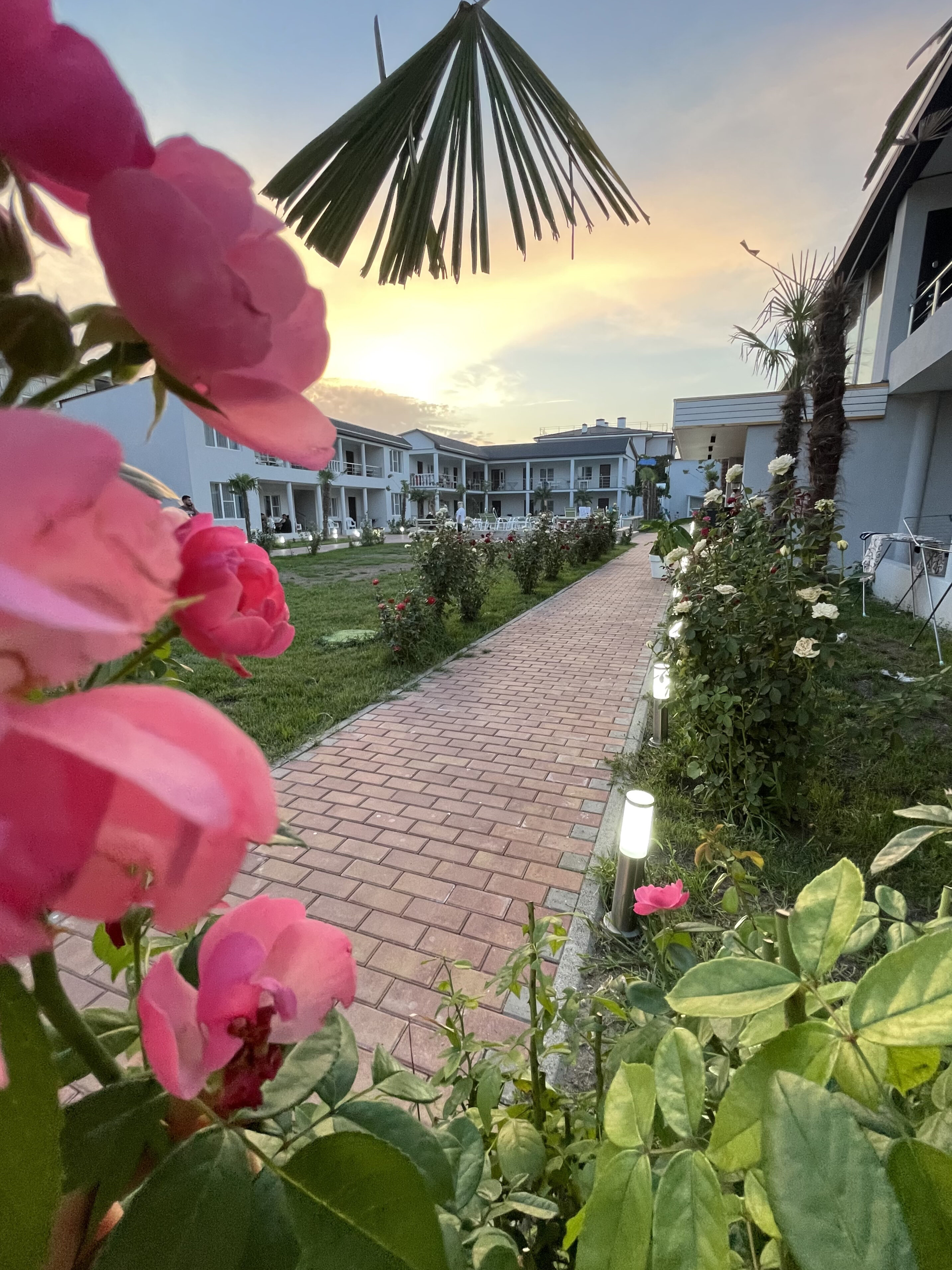 Фото Здоровье