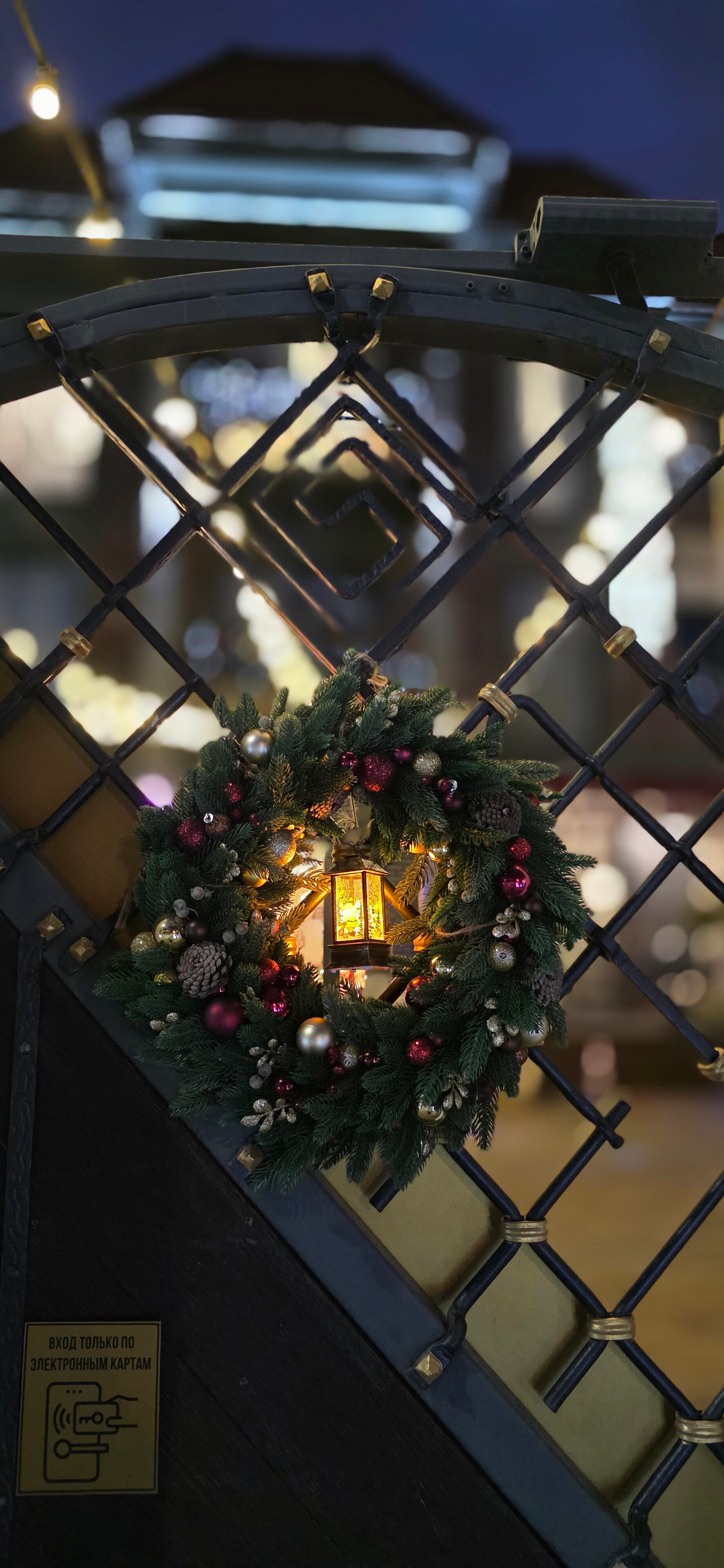 Фото Лермонт