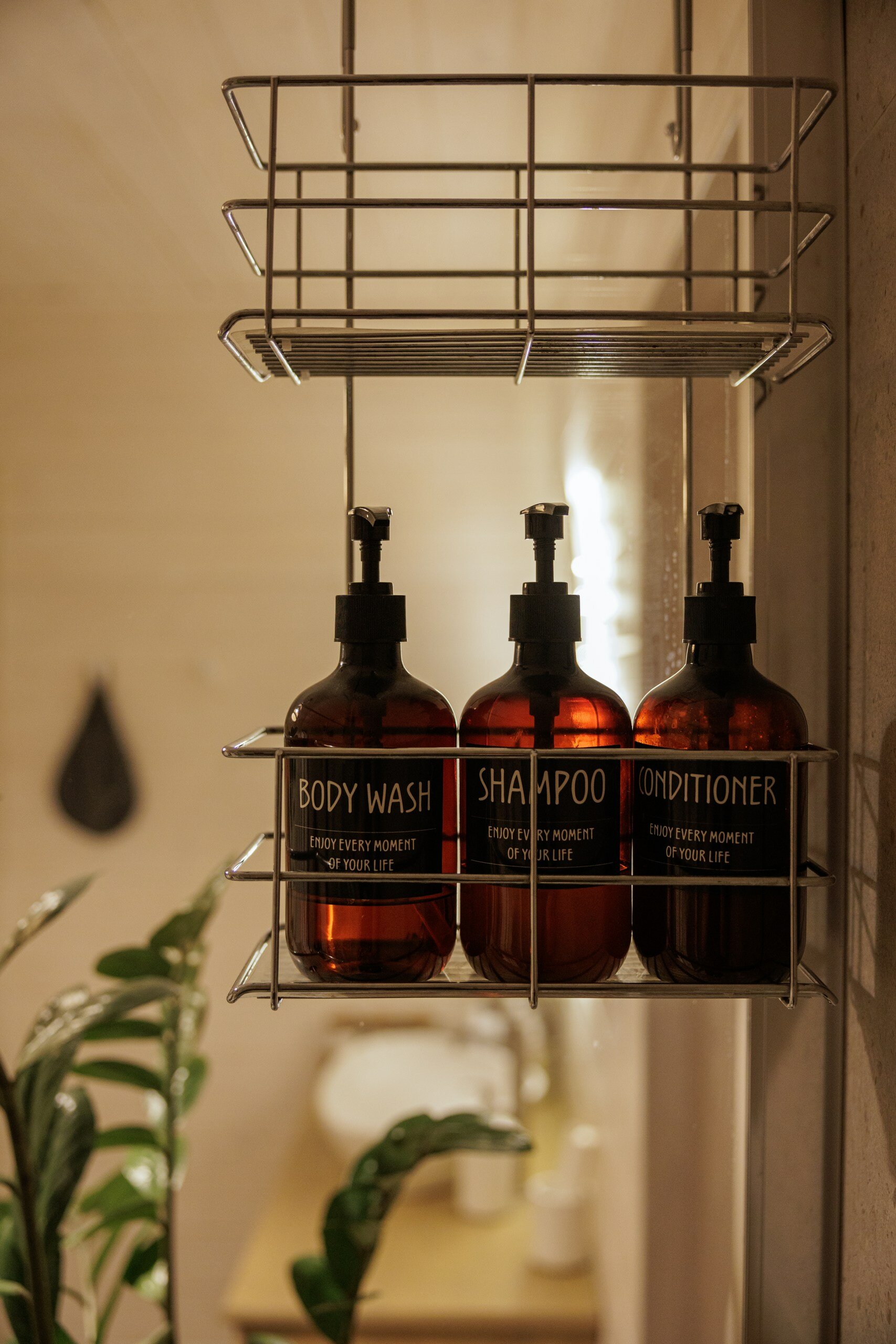 Фото Shalash Time