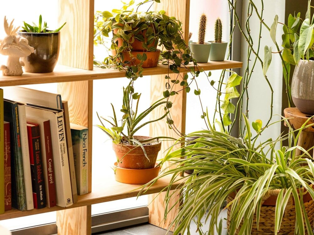 Фото Ibis Leuven Centrum