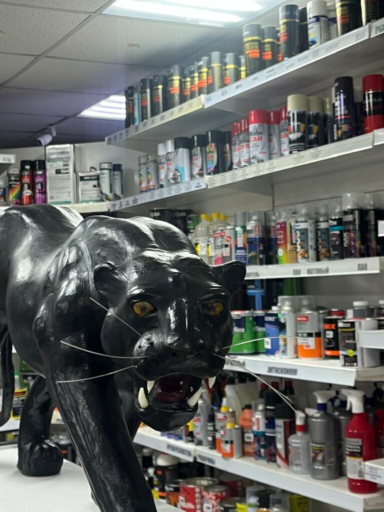 Esmaltes para automóviles, pinturas para automóviles Magazin avtoemaley Khudoley A. F. Ip, , foto