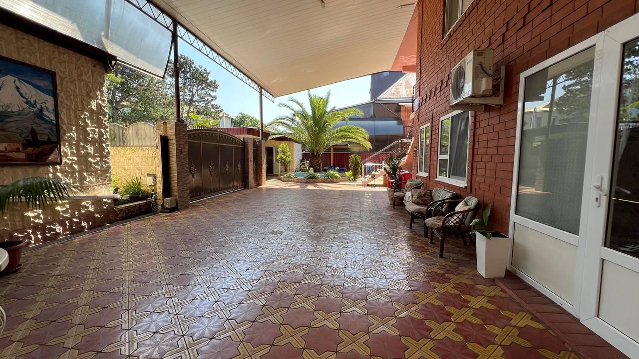 Фото Камелия