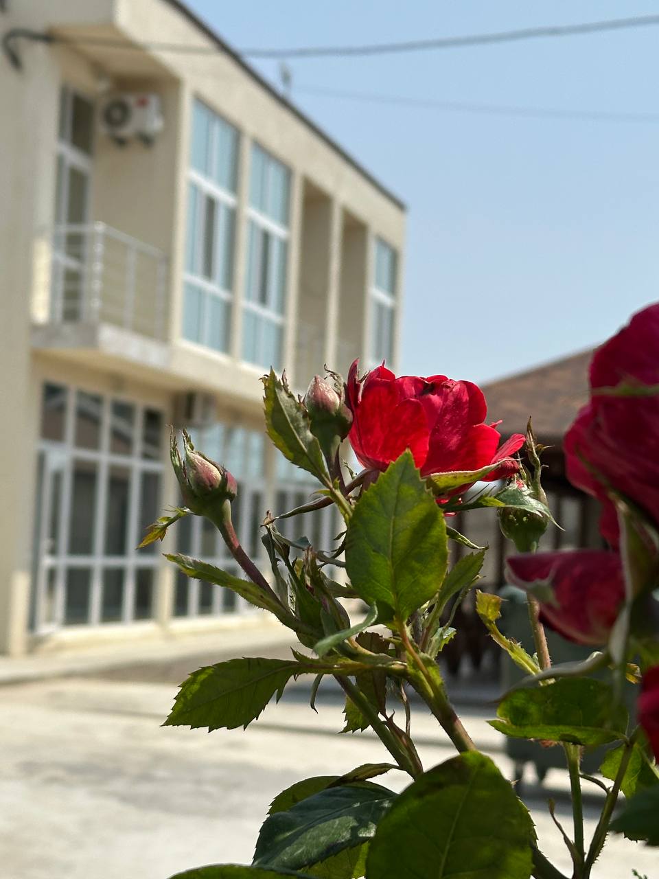 Фото Oasis Eco - House