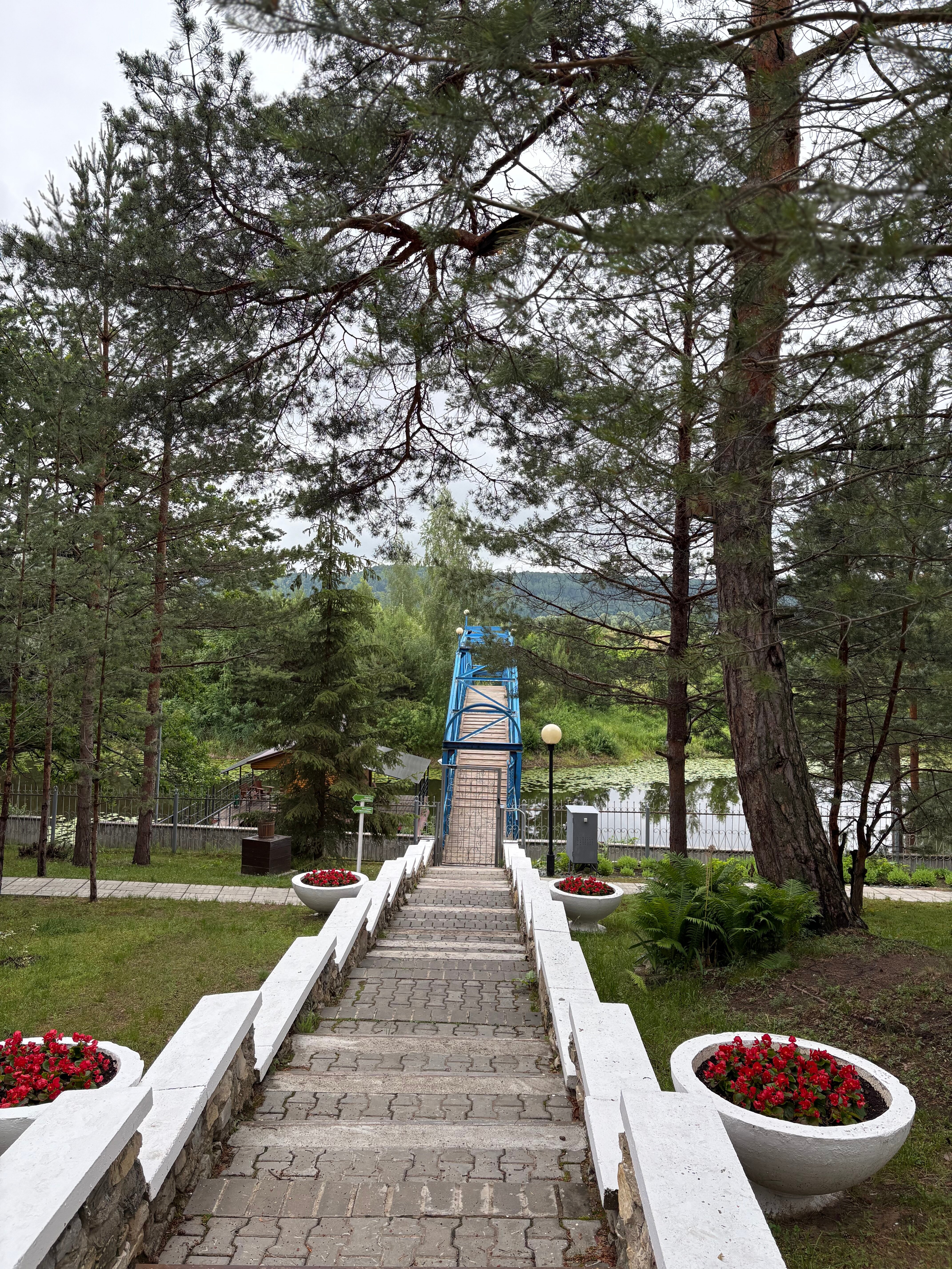 Фото Росинка