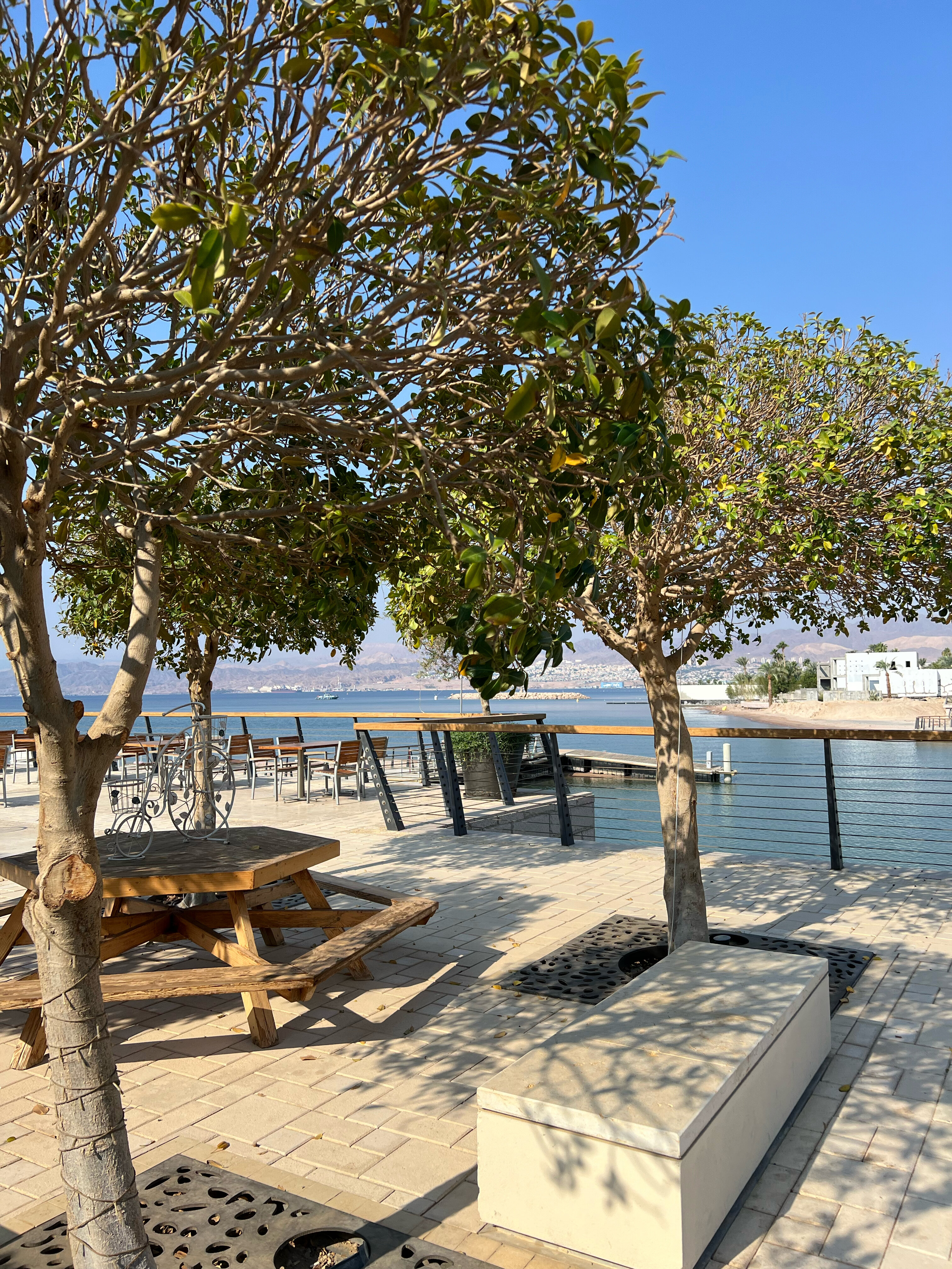 Фото Al Manara, a Luxury Collection Hotel, Saraya Aqaba