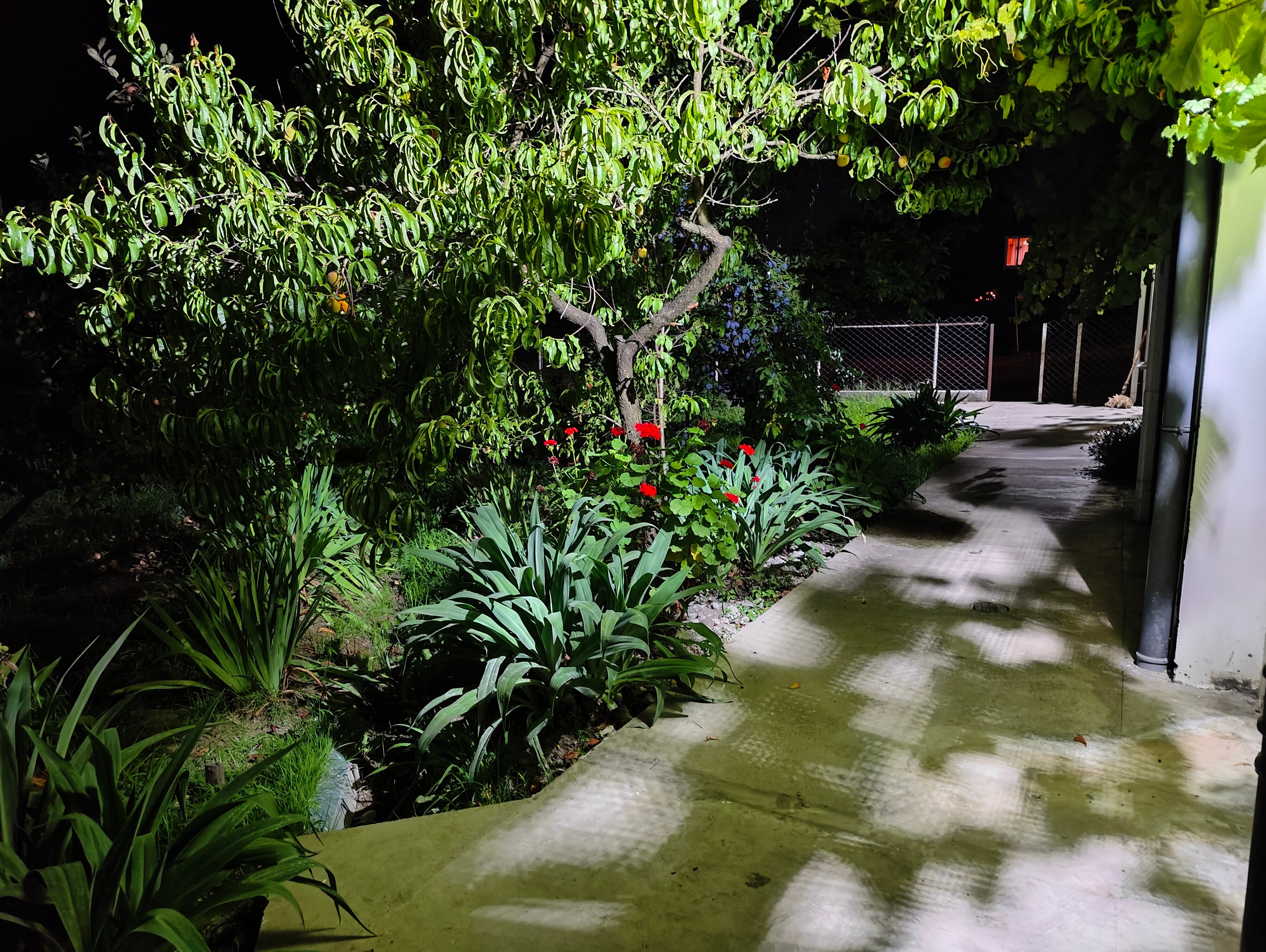 Фото Гостевой дом Людмила