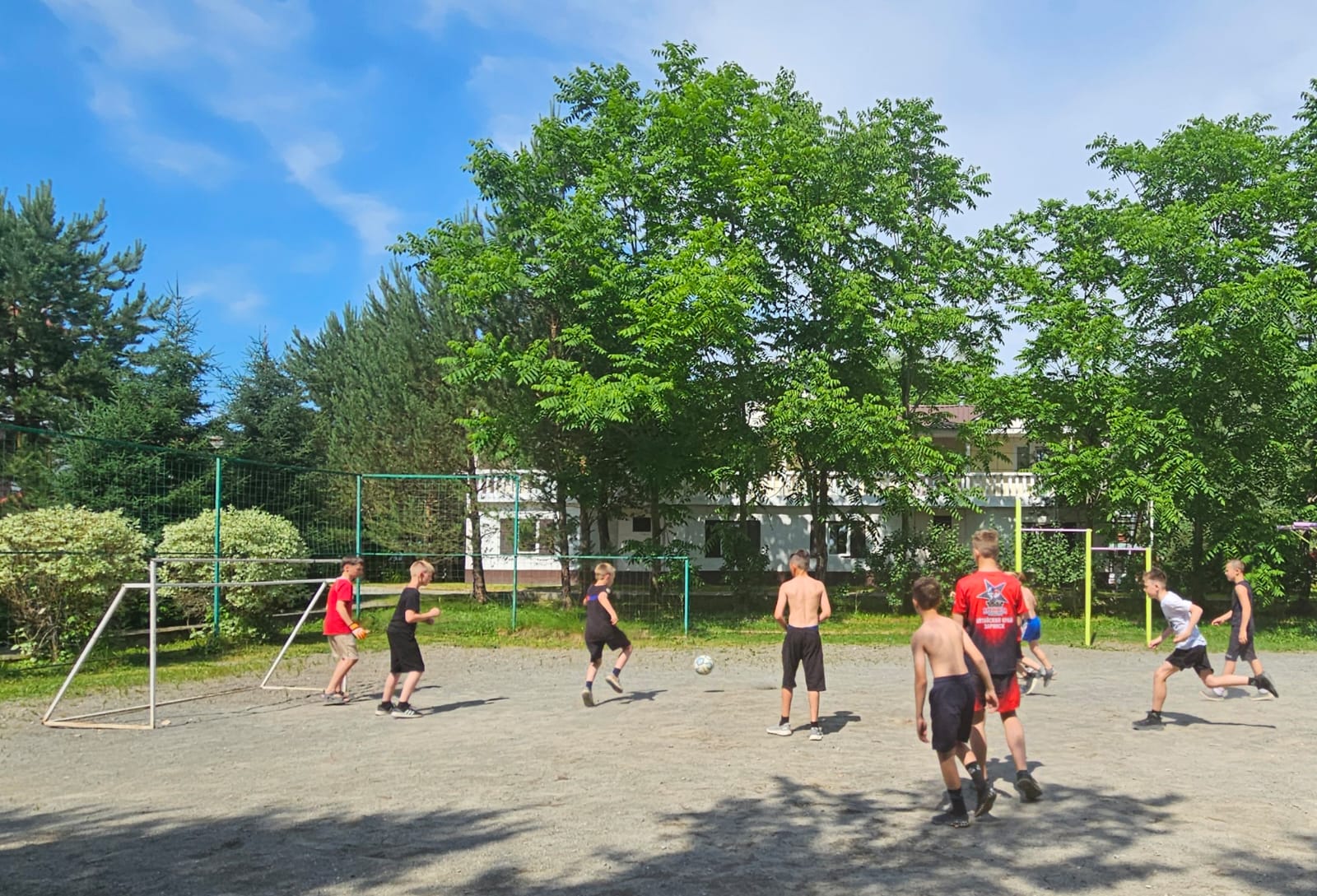 Фото Колибри