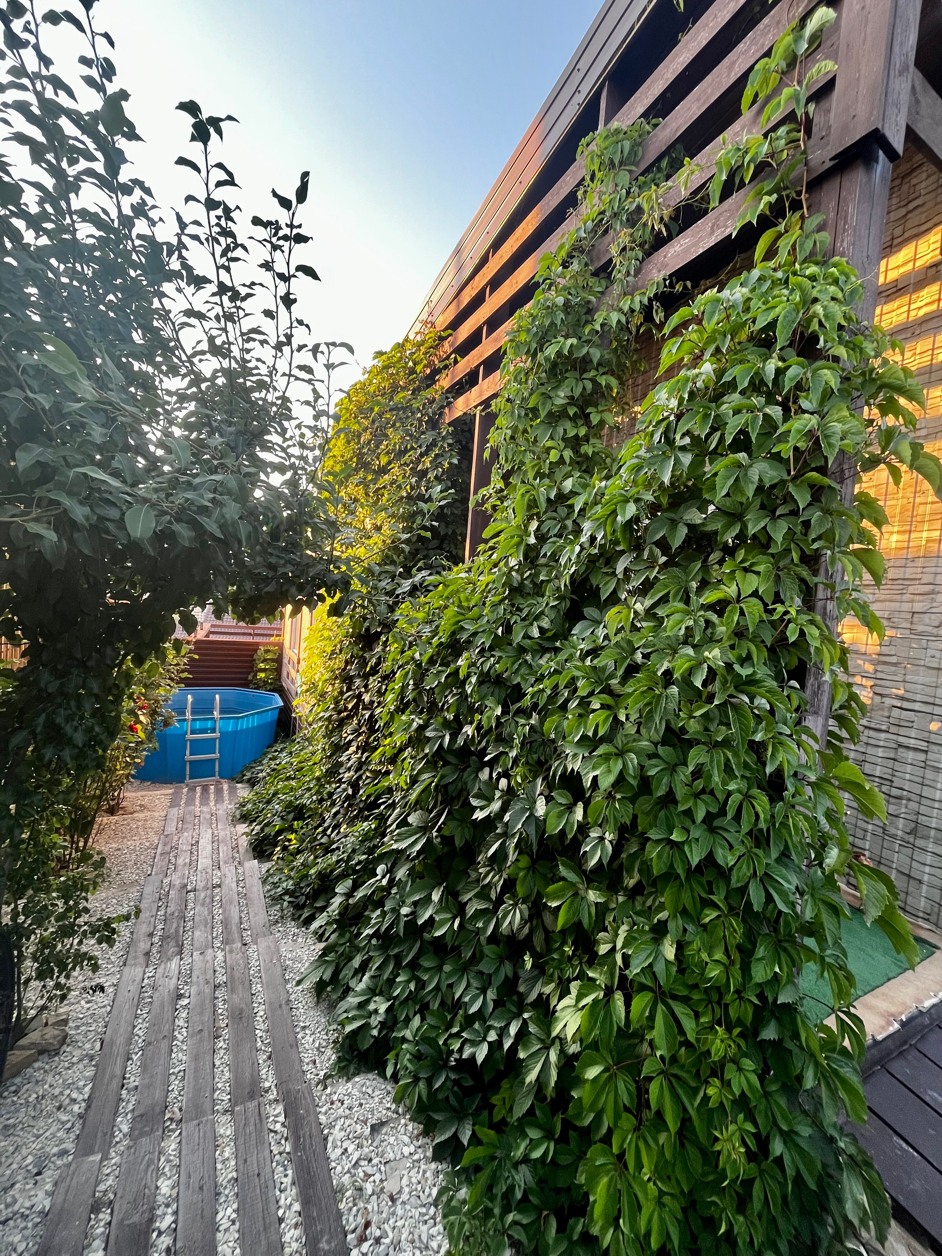 Фото Villa Palermo