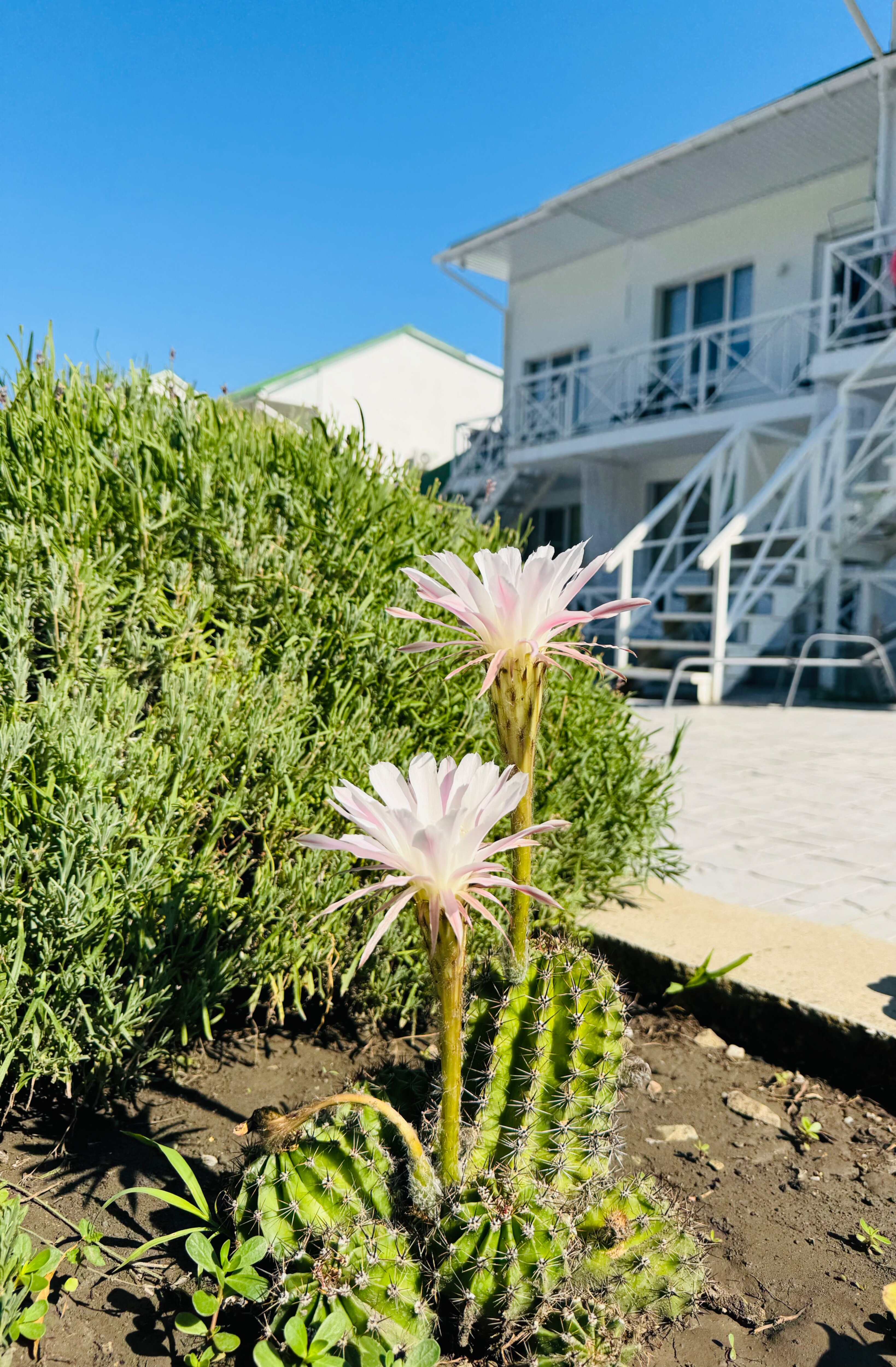 Фото Море и солнце